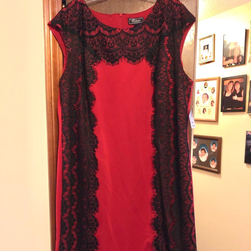 Never Worn Red & Black Lace Dress